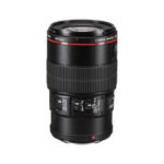 Canon EF 100mm f/2.8L Macro IS USM Lens