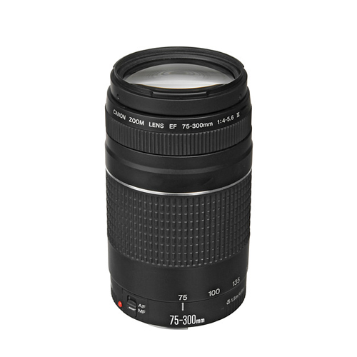 Canon EF 75-300mm f4-5.6 III Lens (3) Canon EF 75-300mm f/4-5.6 III Lens - Image 1