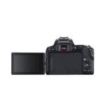 Canon EOS 250D with EF-S 18-55mm f3.5-5.6 III Lens - Image 4