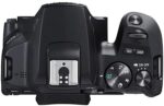 Canon EOS 250D with EF-S 18-55mm f3.5-5.6 III+ EF 75-300mm f4-5.6 III Lens - Image 5