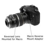 Macro Lens Reverse Ring Adapter for Canon - Image 2