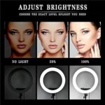Ring Light RL 21 Inch kit - Image 2
