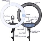 Ring Light RL 21 Inch kit - Image 4