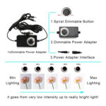 Studio LED Light Box with 3 Colors PVC Backdrops - Image 9