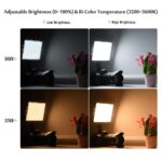 W300 Video LED Light Bi-color - Image 3