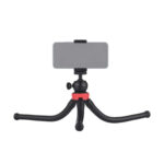 Mini Tripod Octopus With Red Head - Image 2