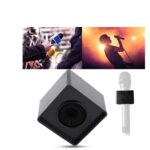 Square Cube Shaped Microphone Flag Station Logo
