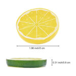 Fake Citrus Slices for Commercial Photography  Set 6 Piece - Image 4