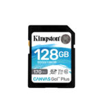 Kingston 128GB Canvas Go! Plus UHS-I SDXC Memory Card (170 MBs)