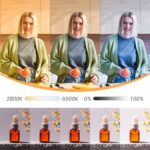 Godox Litemons LA300Bi Bi-Color LED Monolight - Image 6