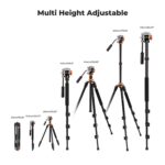 K&F Concept K234A7+FH-03 Tripod - Image 3