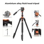 K&F Concept K234A7+FH-03 Tripod - Image 2